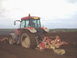 potato land