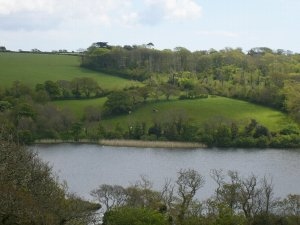 Loe Pool