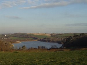 Higher Penrose/Loe Bar